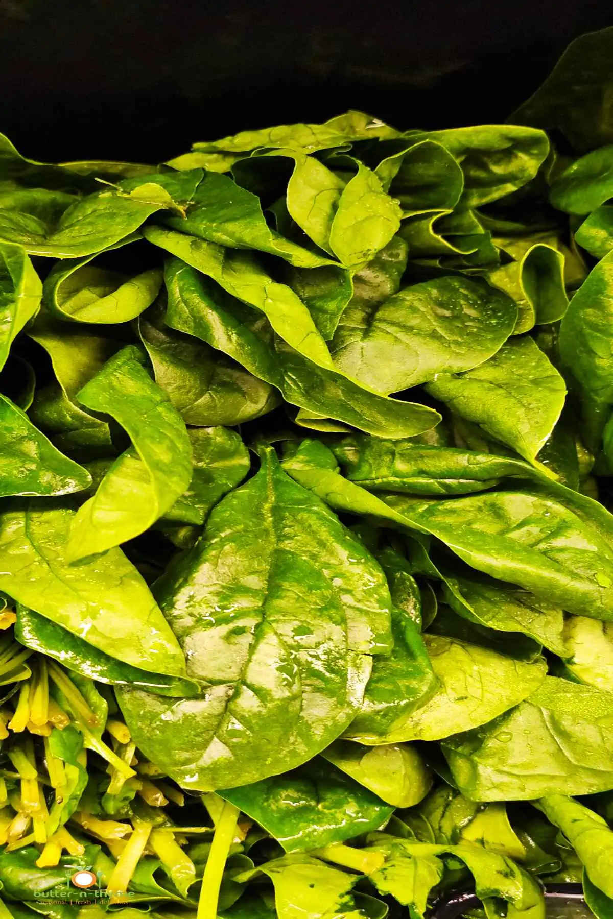 21 Types of Winter Vegetables Butter N Thyme