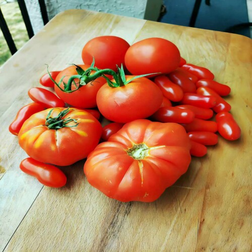 Homemade Tomato Sauce Recipe Butter N Thyme