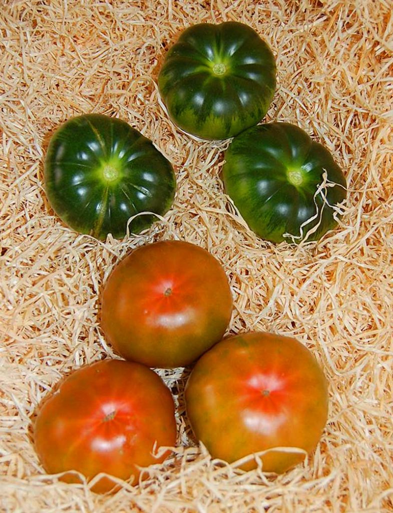 45 Types Of Tomatoes AtoZ Defined Photos ButternThyme Kitchen