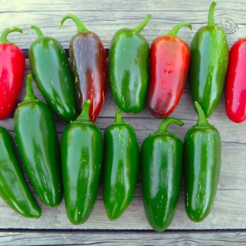 How Hot Are Jalapeño Peppers 9 Types Butter N Thyme