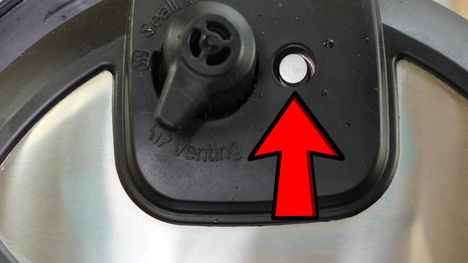 Instant Pot Beef with Cream Of Mushroom Soup Butter N Thyme