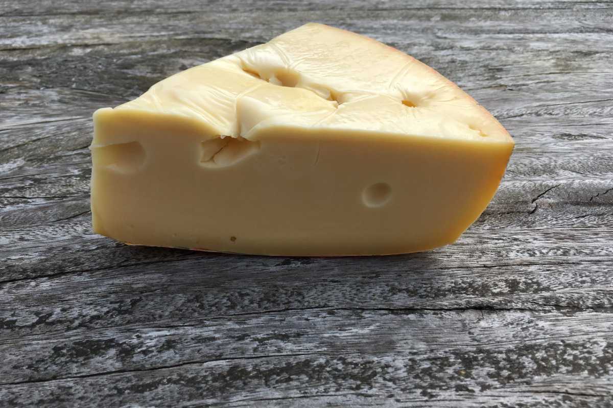 Jarlsberg Cheese.