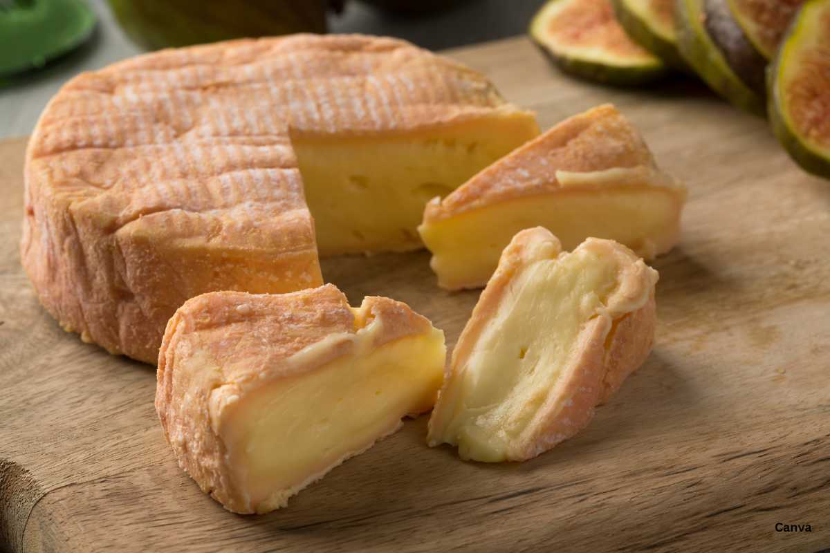 Munster Cheese.