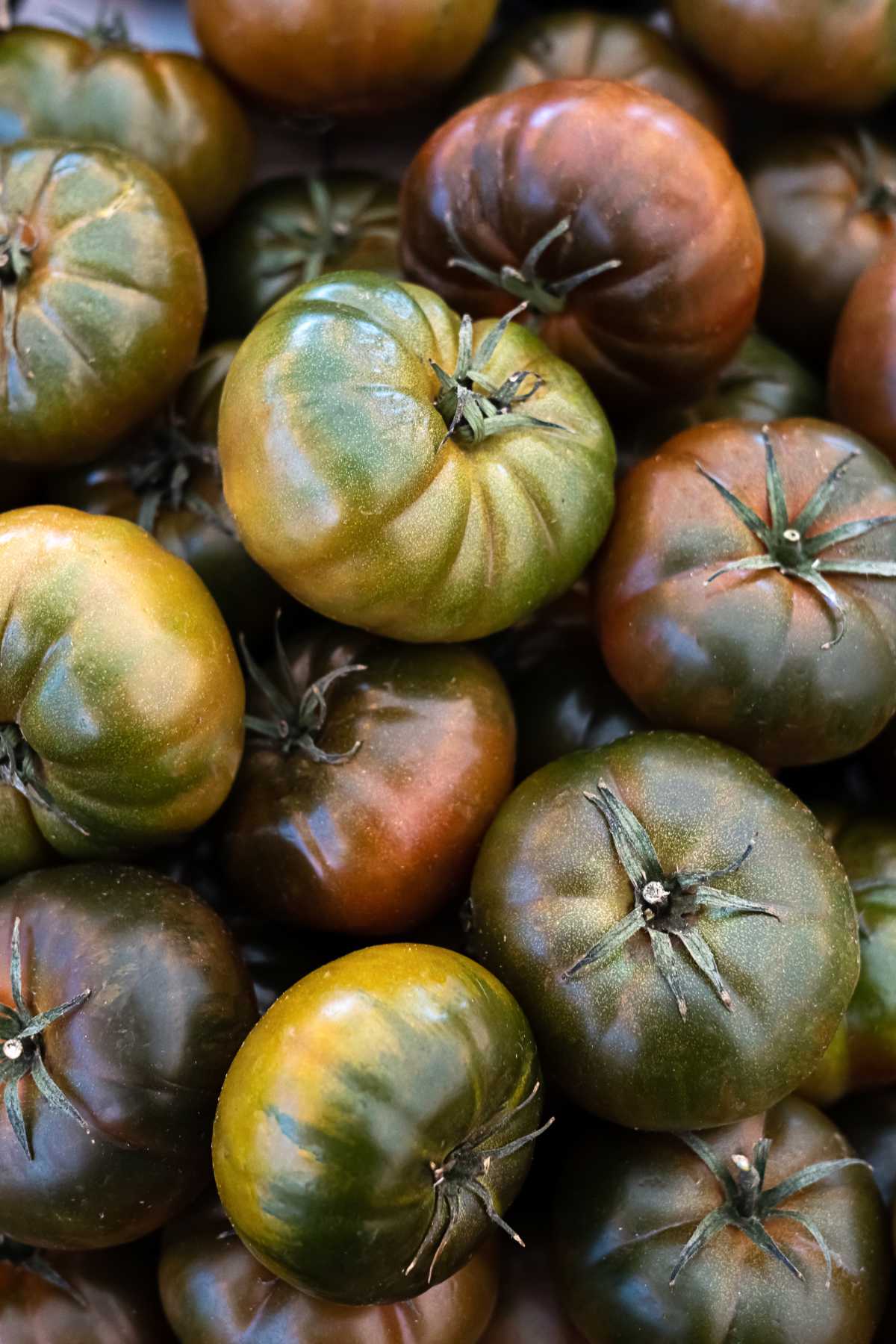 Black Krim Tomatoes.