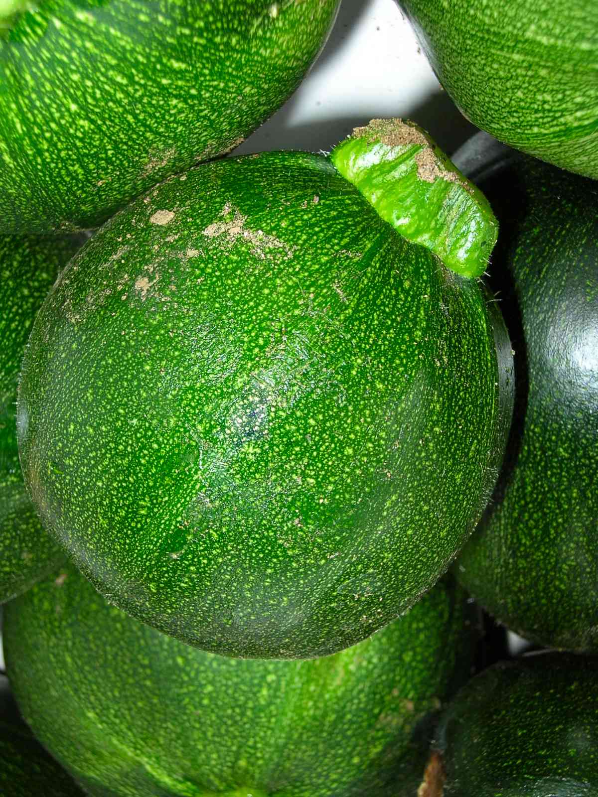 Eight ball squash