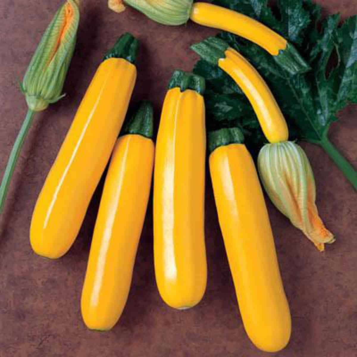 Gold rush squash