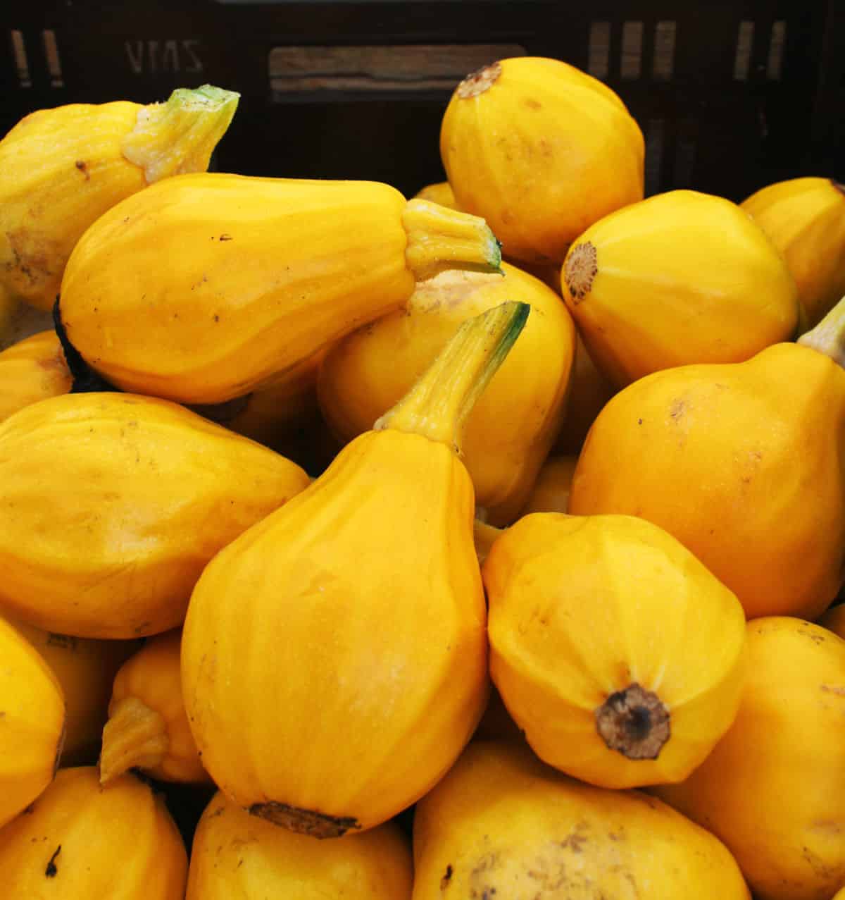 Papaya pear squash