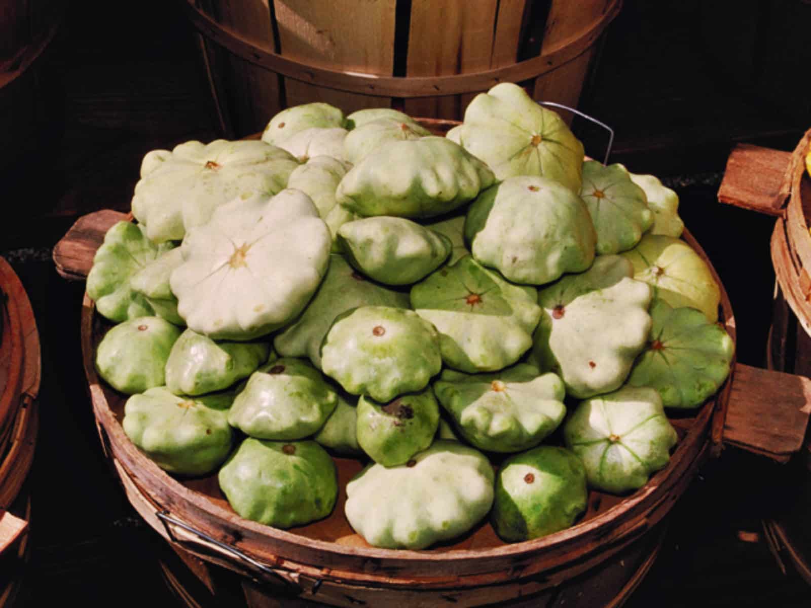 Pattypan squash