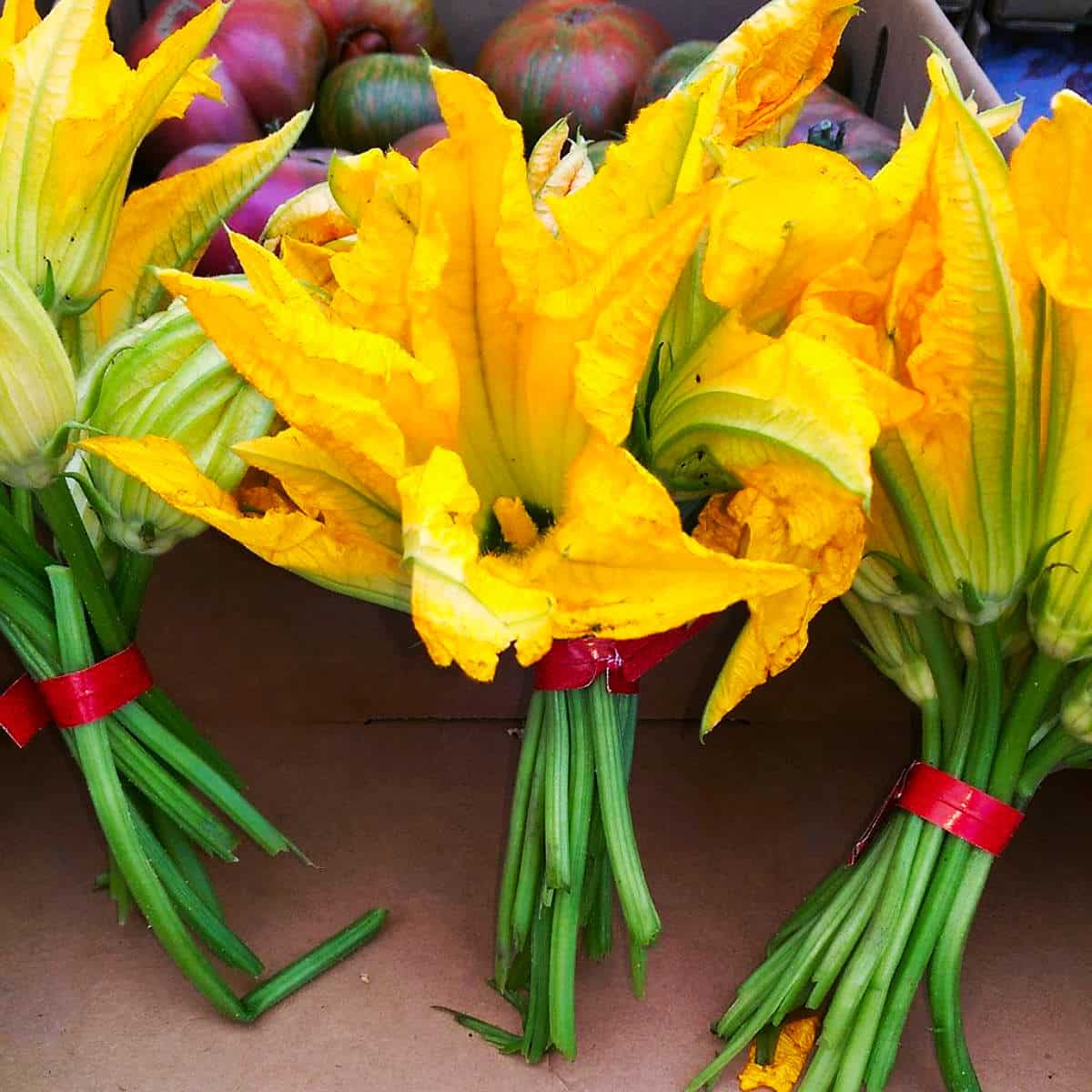 Squash blossoms