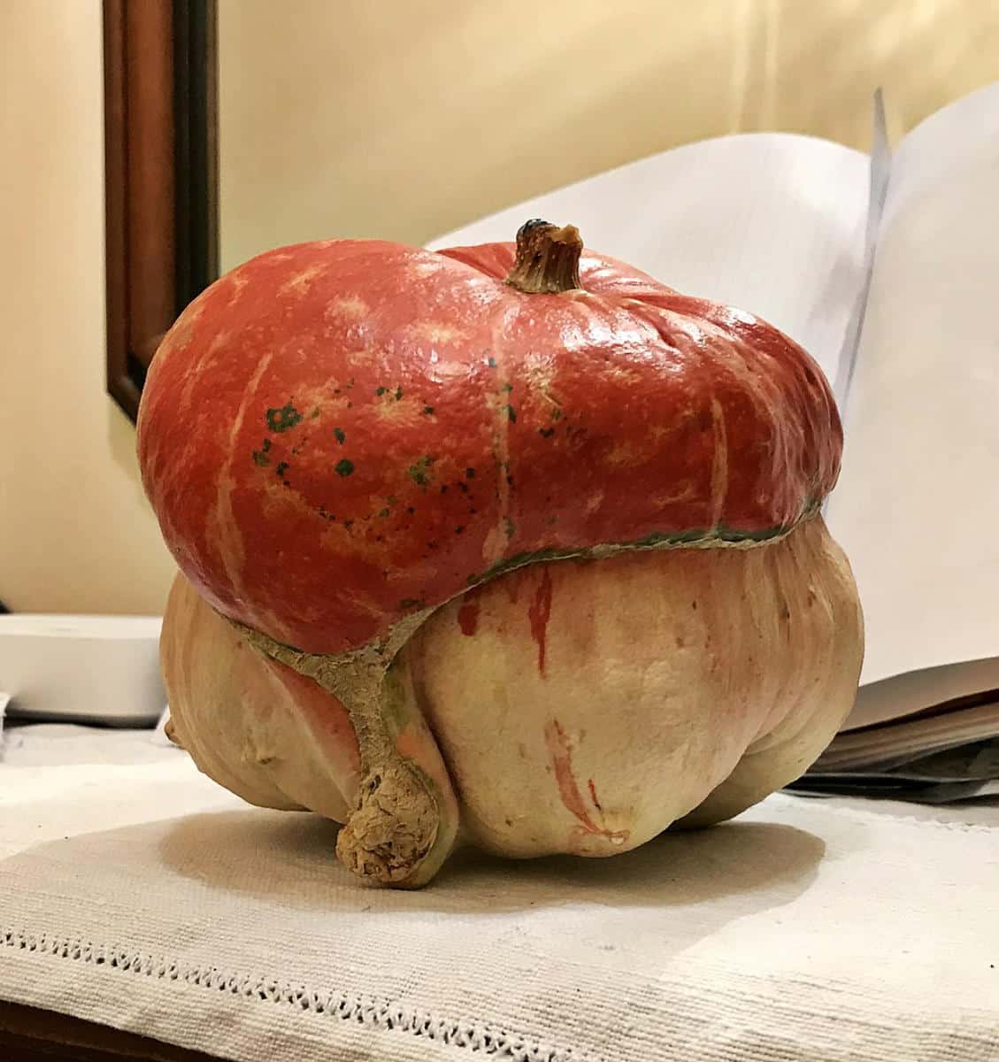 Turban squash