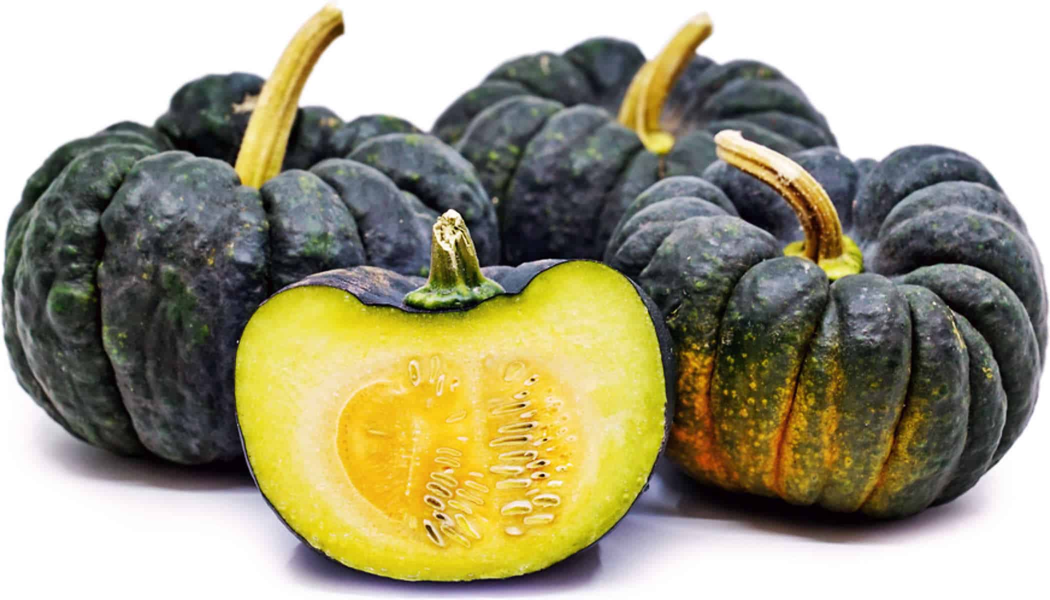 Yokohama squash