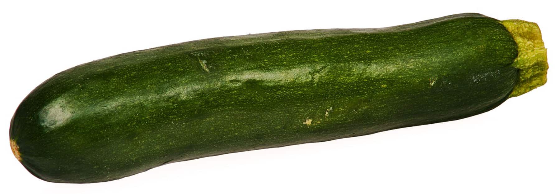 Zucchini squash