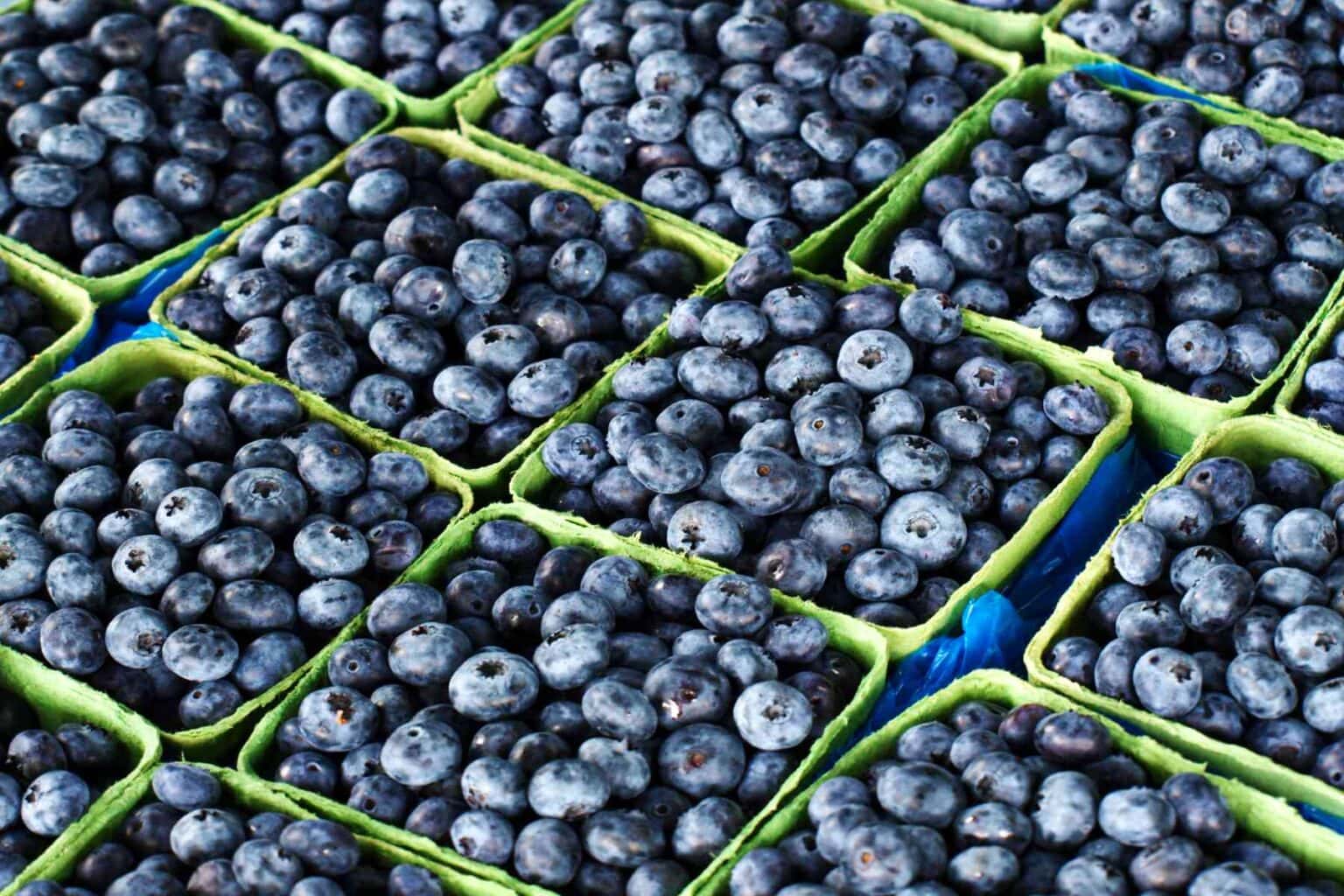 Blueberries Nutritional Value Health Benefits 1 Cup Butter N Thyme