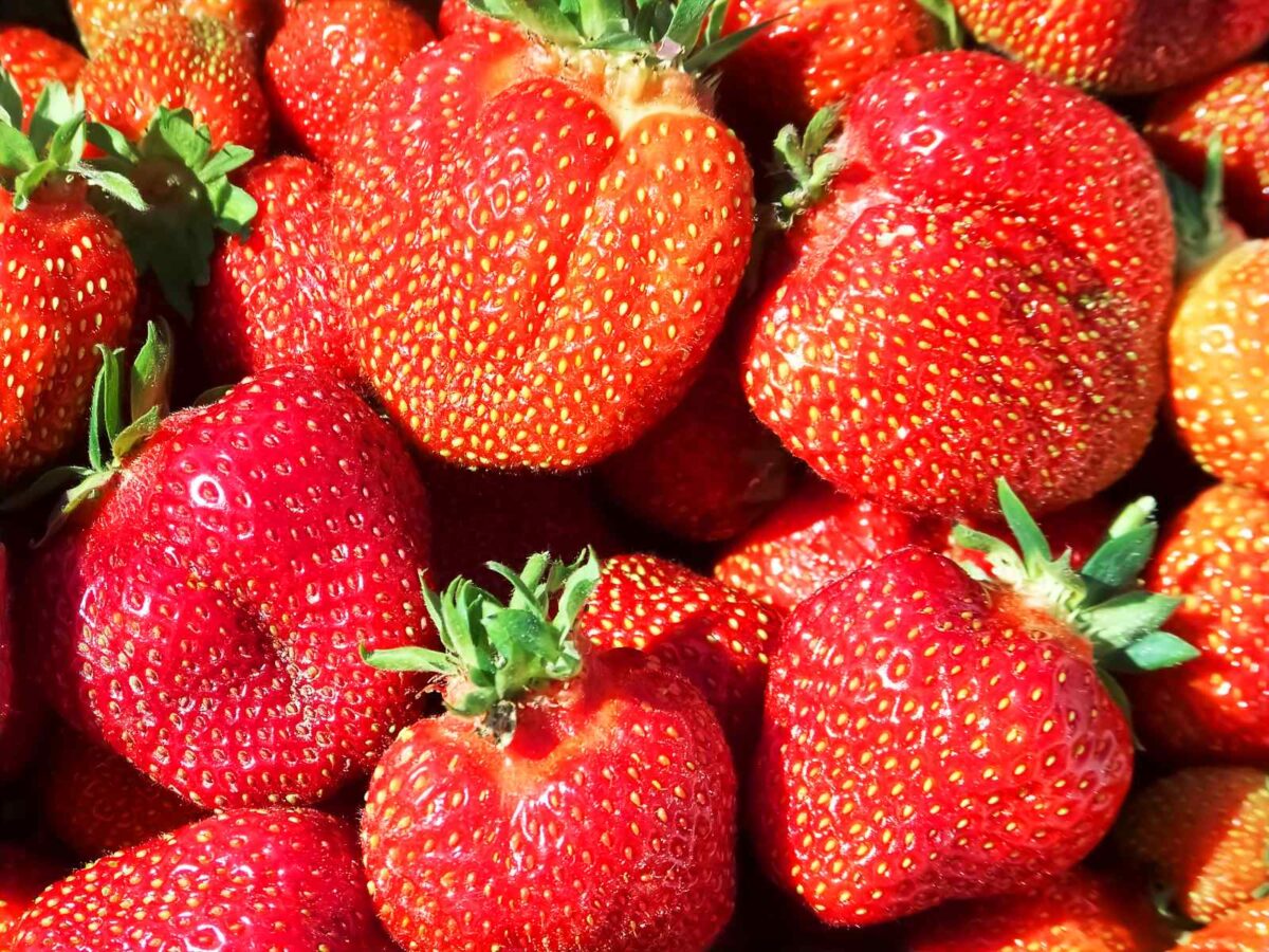 45 Types of Strawberries 🍓 A to Z Defined Photos Butter N Thyme