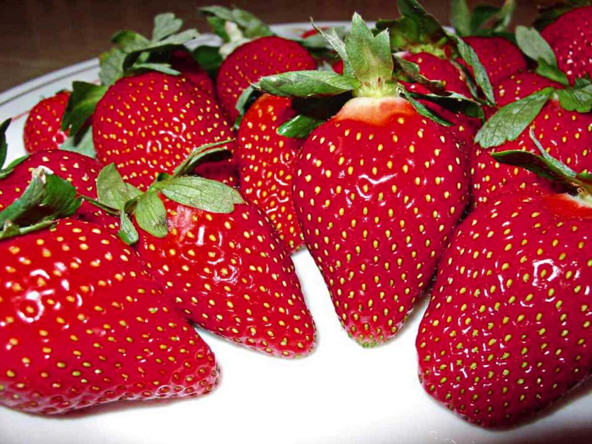 45 Types of Strawberries 🍓 A to Z Defined Photos Butter N Thyme