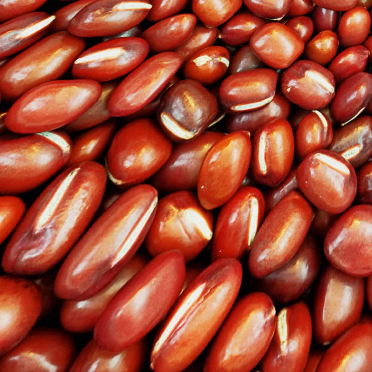 Adzuki Beans Use Benefits Nutrition Butter N Thyme