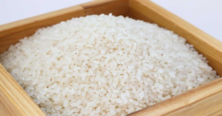 Calrose Rice Sushi Rice 15 Best Types of Sushi Rice 🍣 Brands
