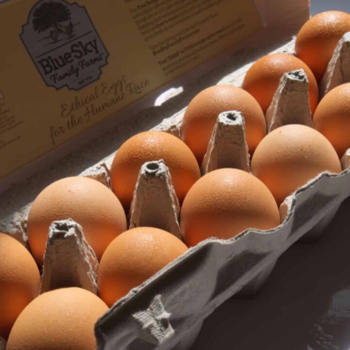 21 Type of Egg Substitutes AtoZ Defined Uses Butter N Thyme