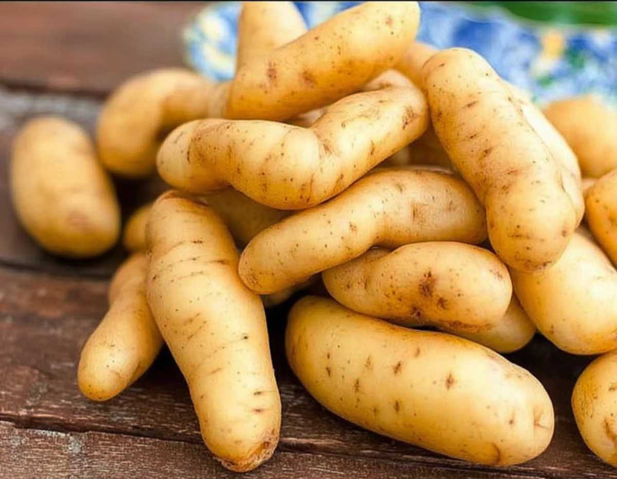 Raw fingerling potatoes ready for roasting on a weathered wood surface.