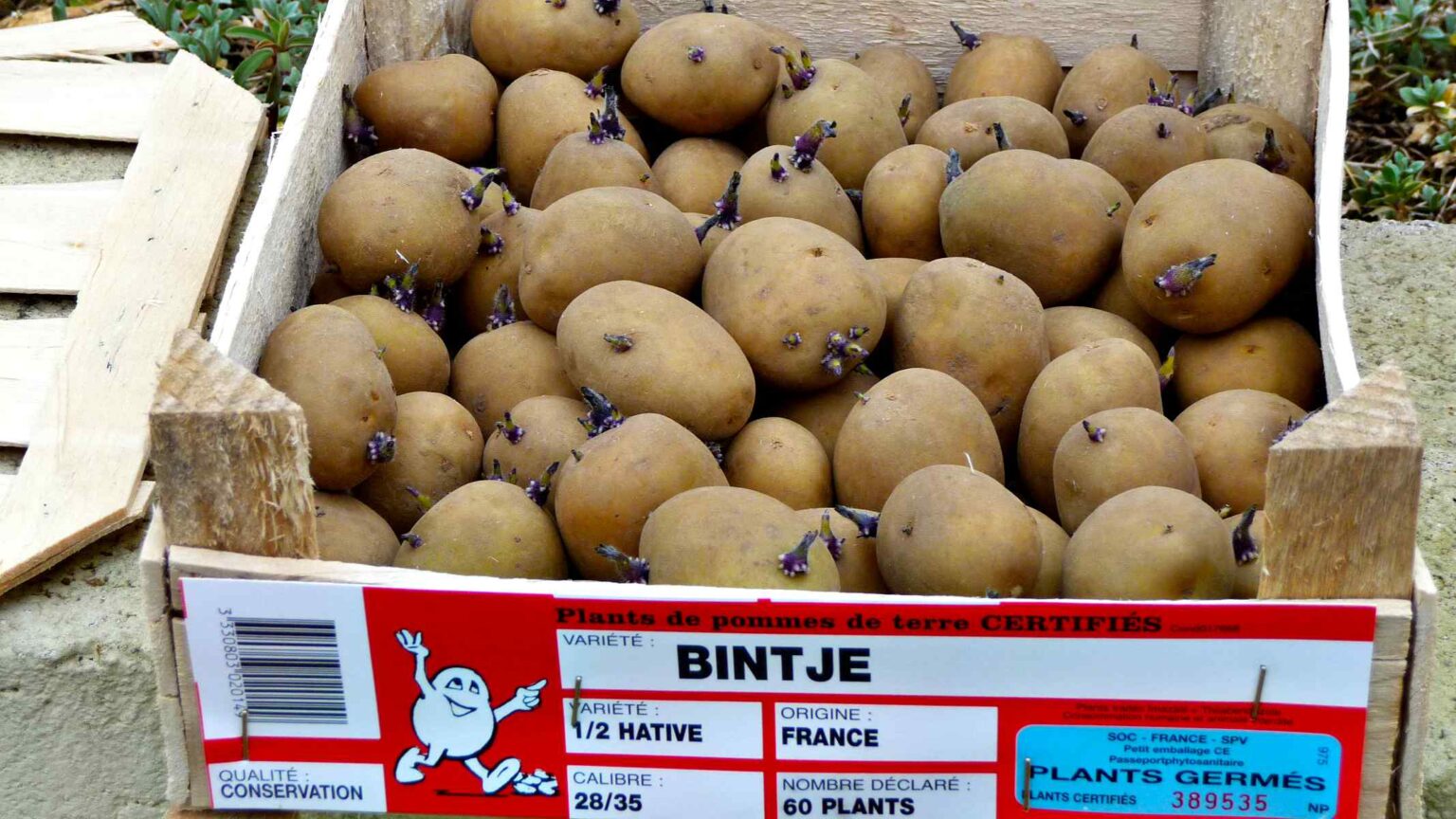 56-types-of-potatoes-a-to-z-photos