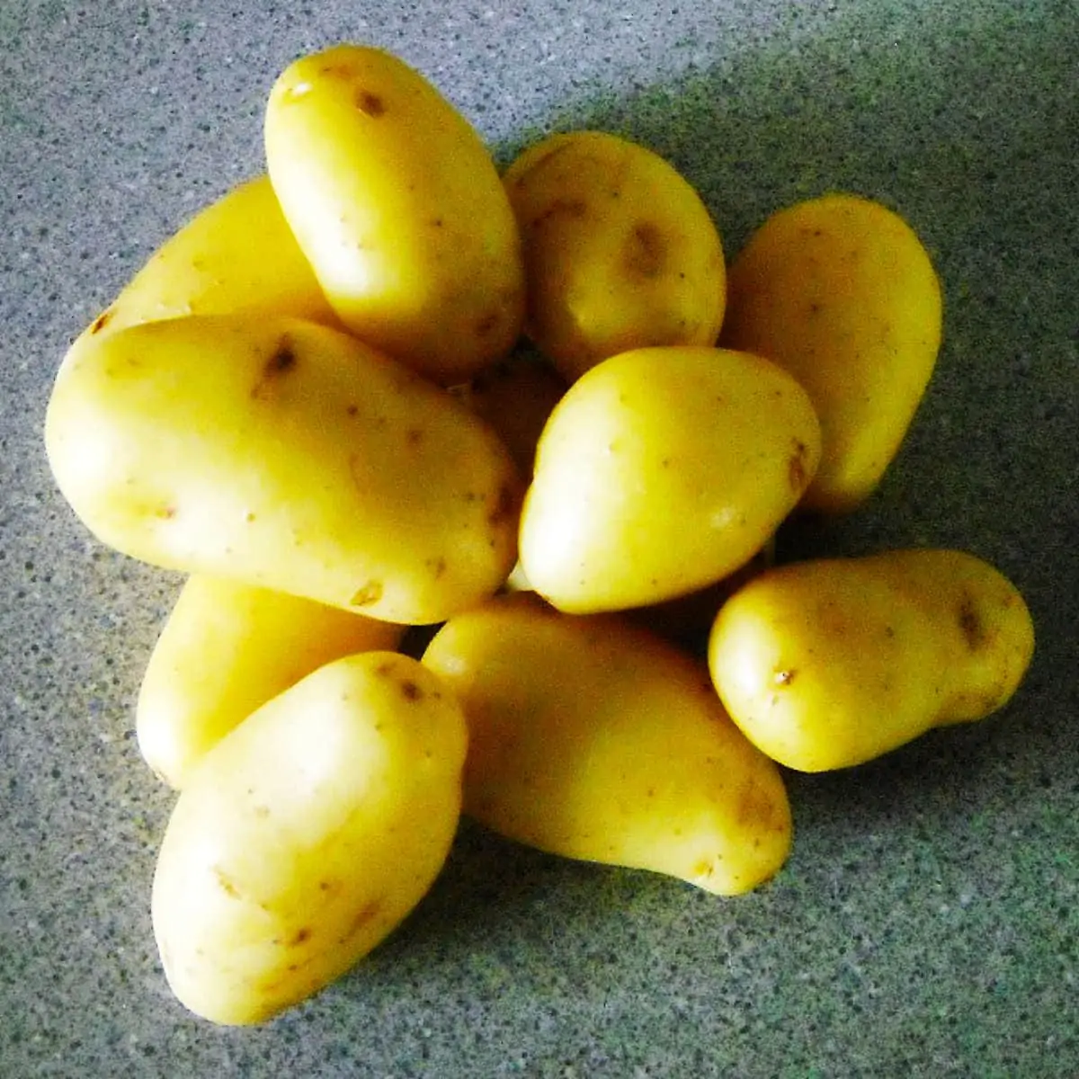 56 Types of Potatoes 🥔 AtoZ Photos