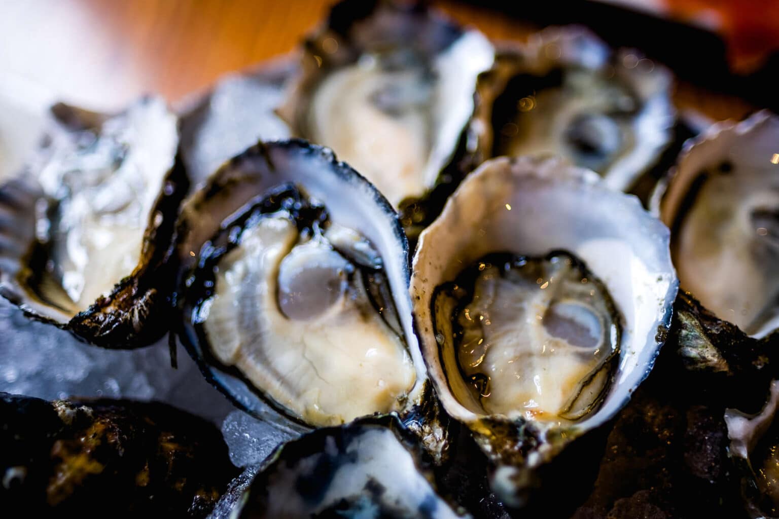 35 Types of Oysters AtoZ Photos Butter N Thyme