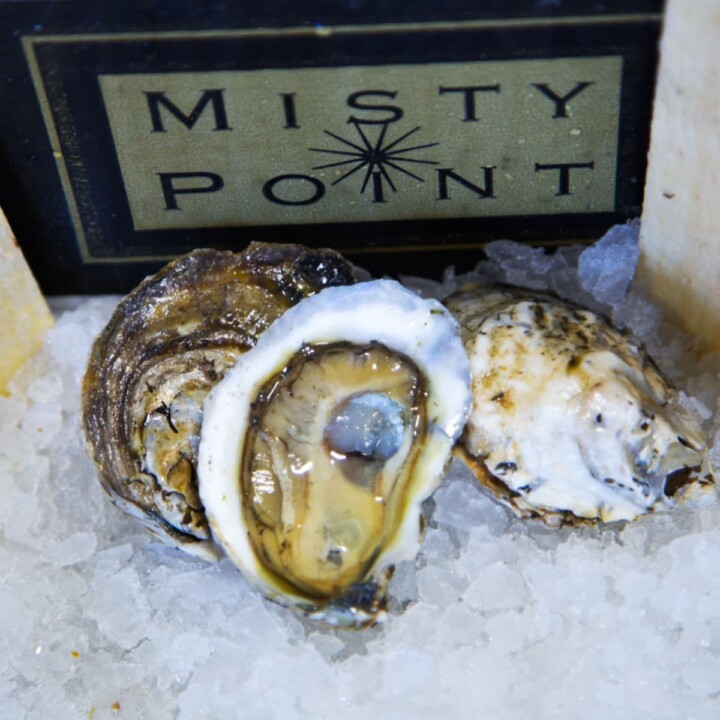 35 Types of Oysters AtoZ Photos Butter N Thyme