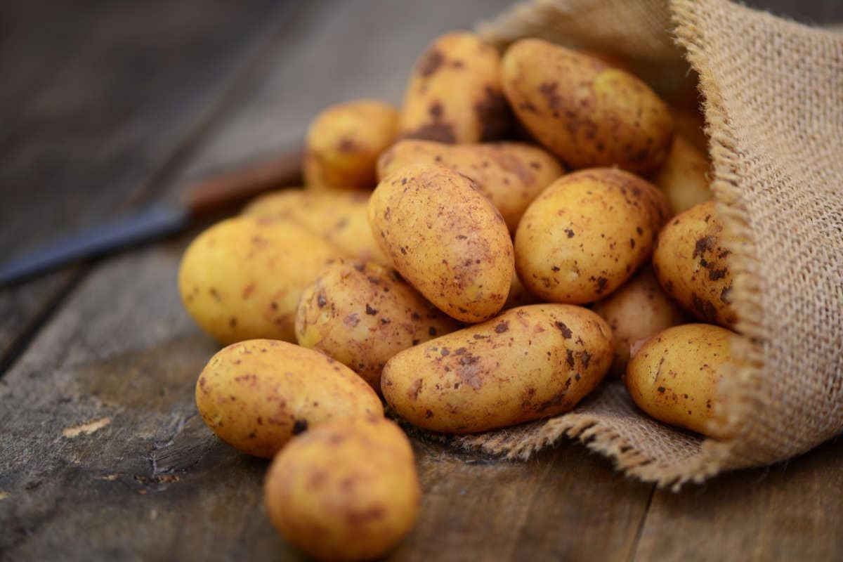 Types of Potatoes
