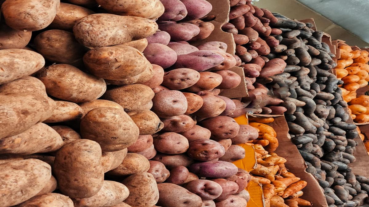 45 Types Of Potatoes 🥔 AtoZ Defined Photos