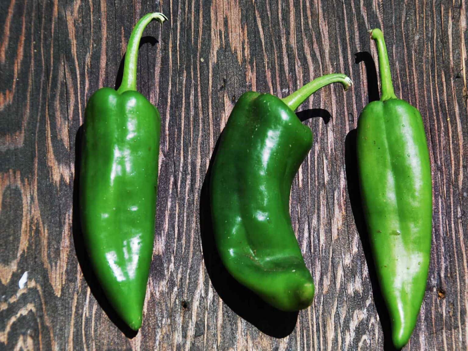 45 Types of Peppers A to Z Photos Butter N Thyme