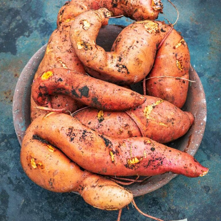39 Types of Sweet Potatoes A to Z Photos Butter N Thyme