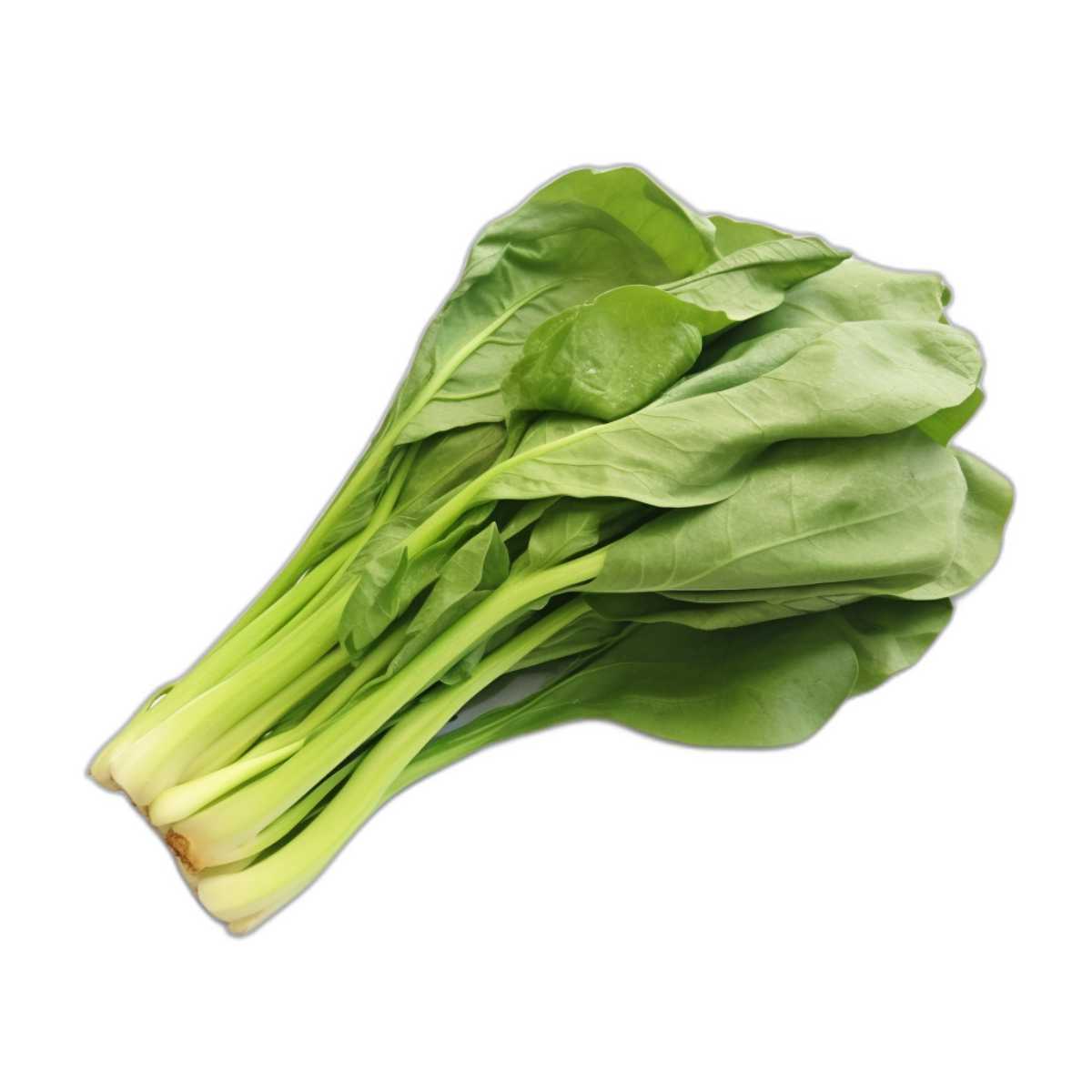 Choy Sum Cabbage.