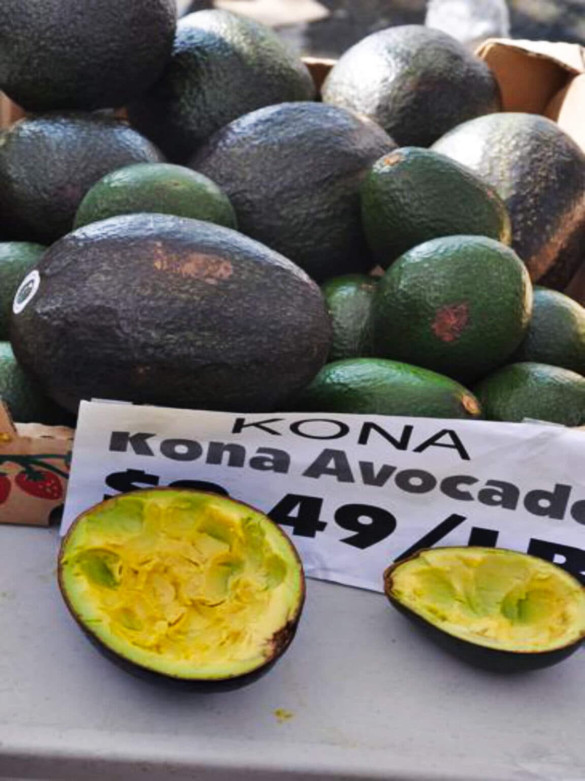 Types Of Avocado A To Z Defined Photos Butter N Thyme