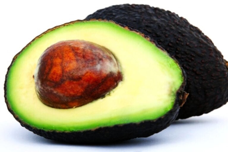 Types of Avocados: 26 Varieties - Butter N Thyme