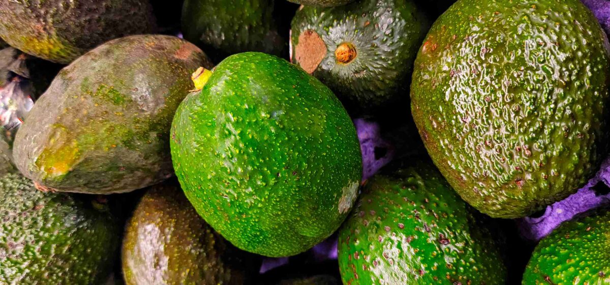 Types of Avocado A to Z Defined Photos Butter N Thyme