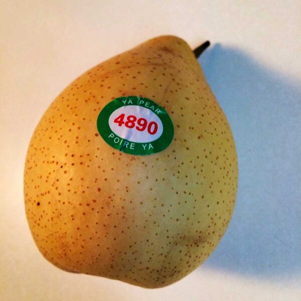 10 Types of Asian Pears A to Z Photos Butter N Thyme