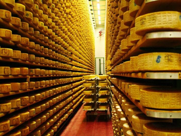 Types of Asiago Cheese A to Z Photos Butter N Thyme