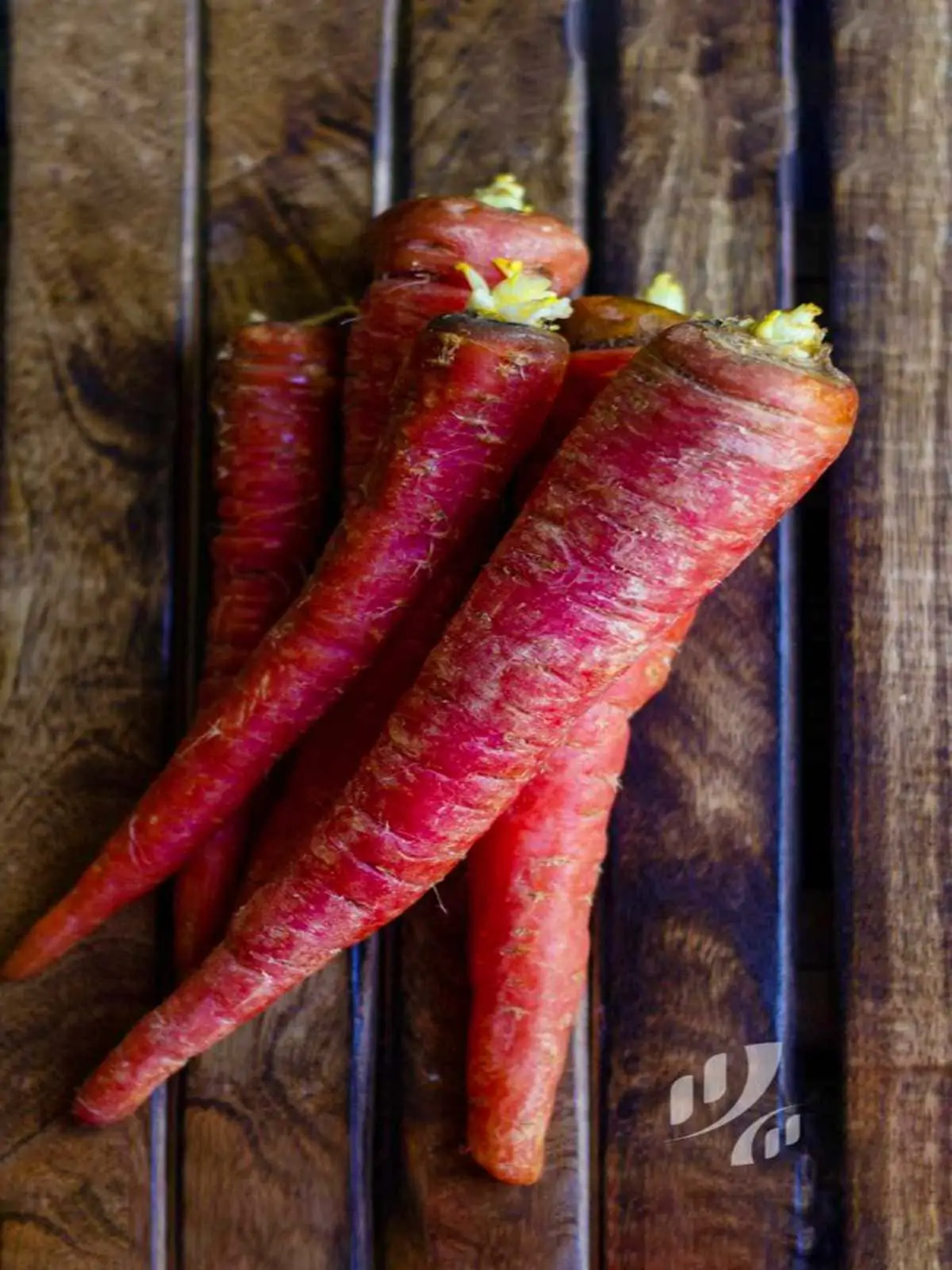 45 Types of Carrots AtoZ Photos Butter N Thyme