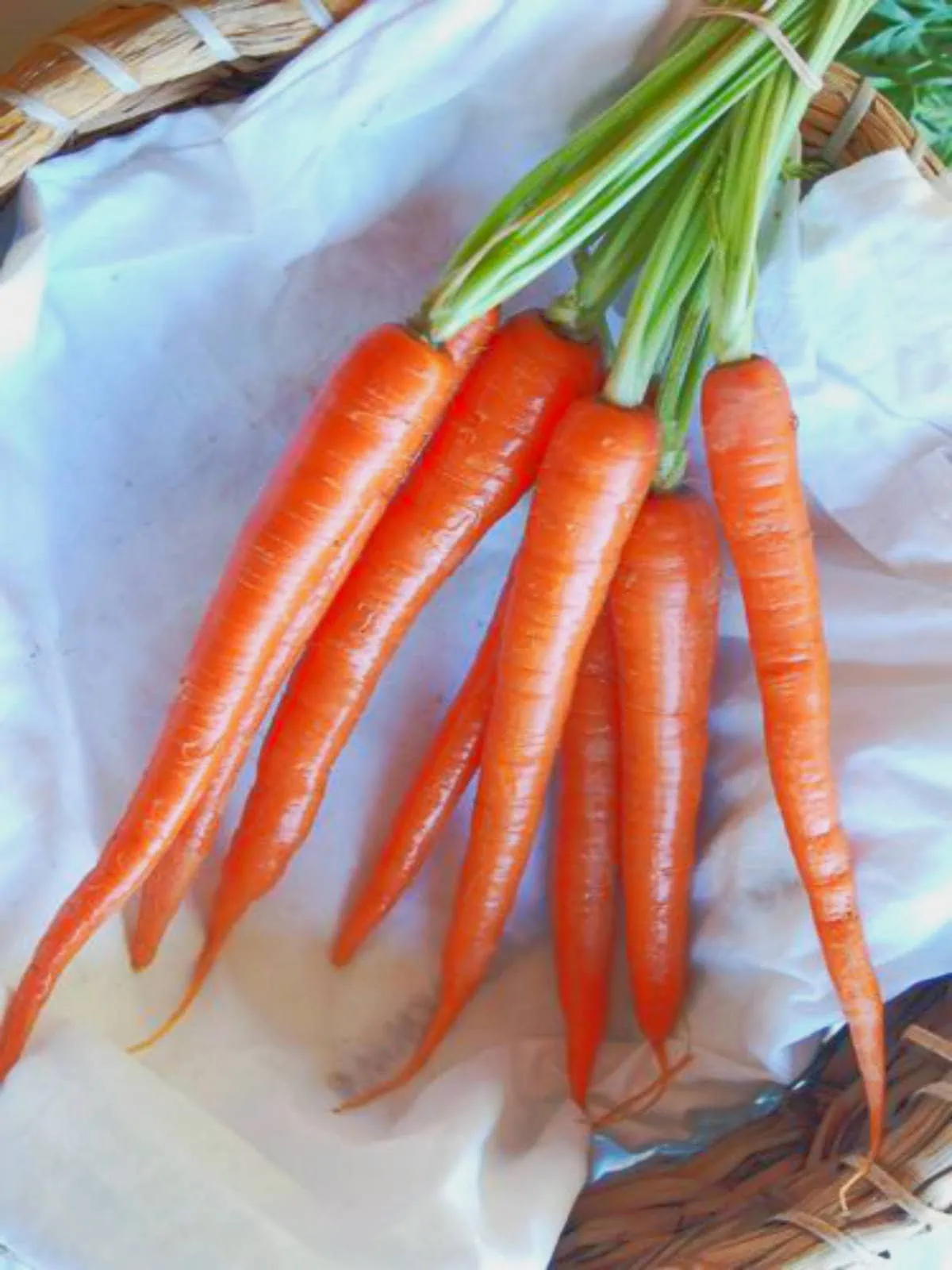 45 Types of Carrots AtoZ Photos Butter N Thyme