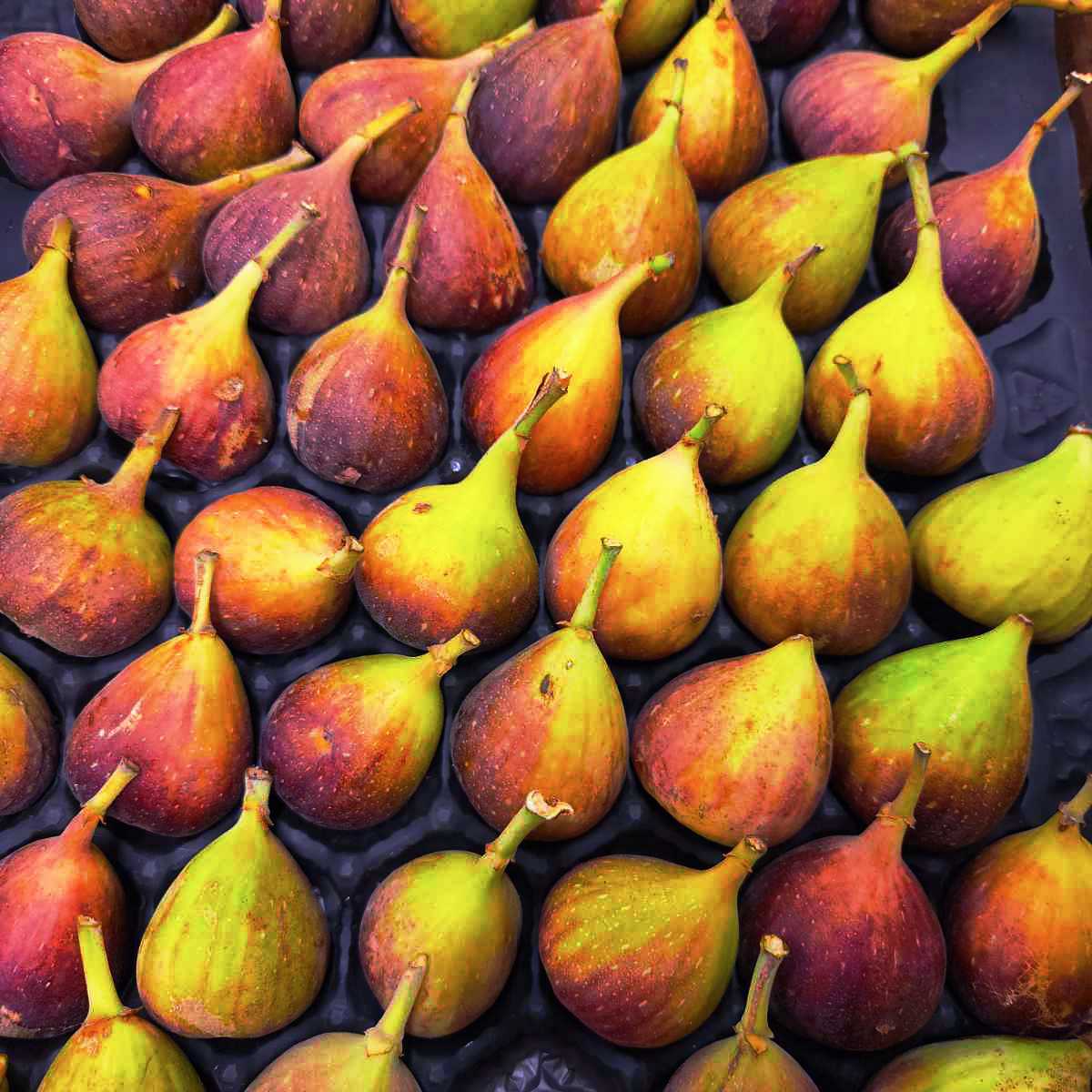 In season figs in tray at farmers market.