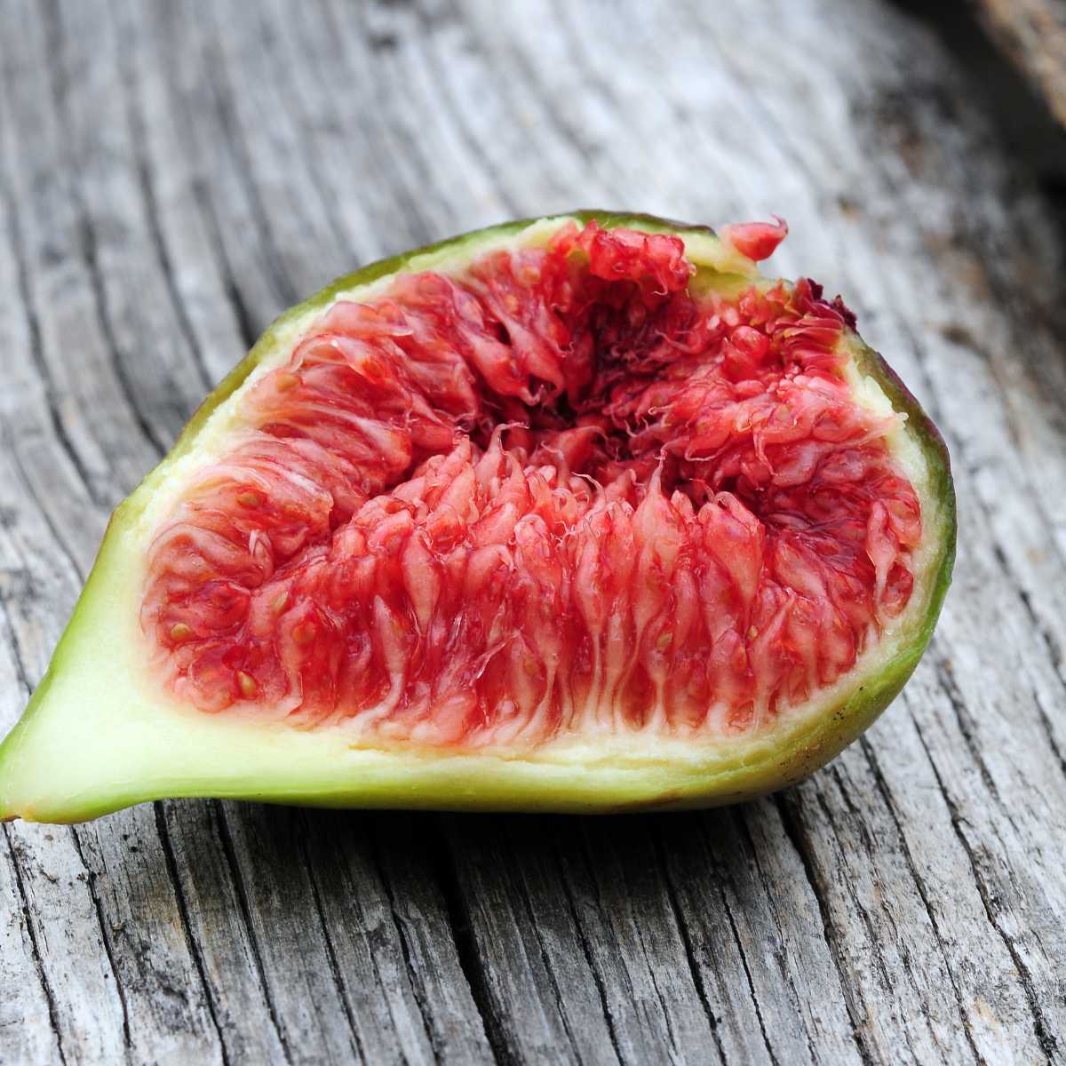 When Are Figs Ready to Pick.