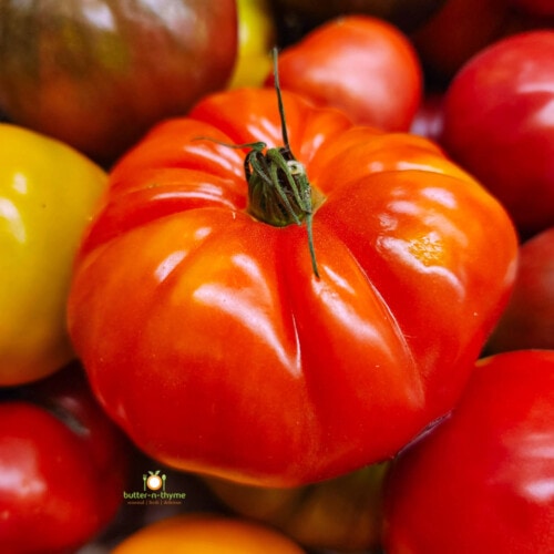 5 Best Tomatoes For Salsa Butter N Thyme