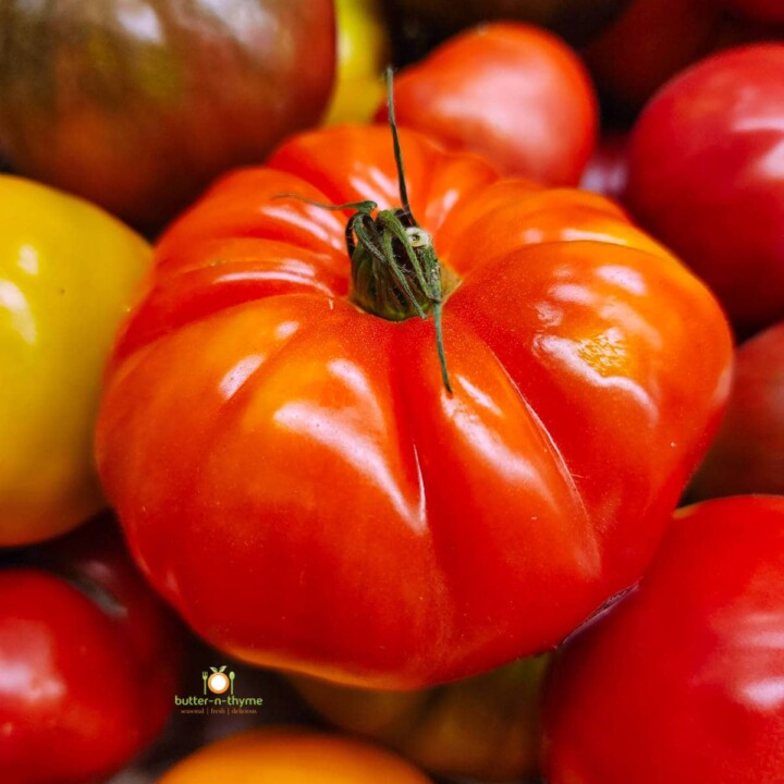 5 Best Tomatoes For Salsa Butter N Thyme