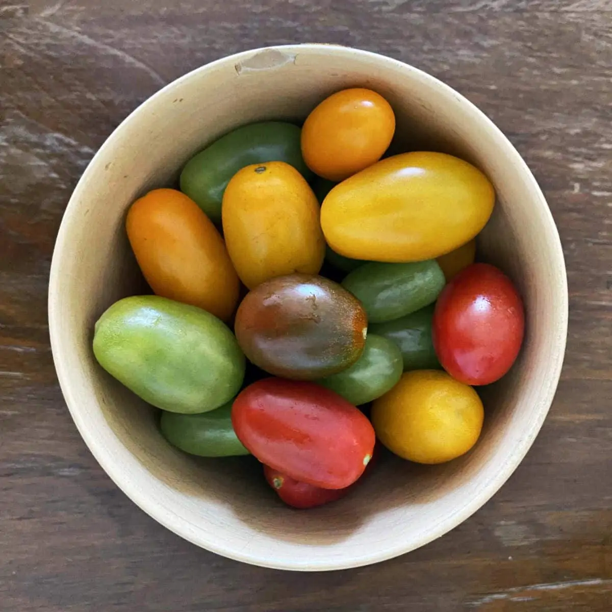 5 Best Tomatoes For Salsa 🍅 Butter N Thyme