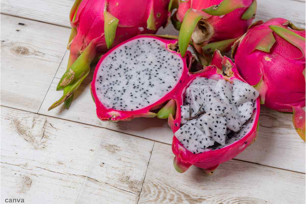 Dragon Fruit.