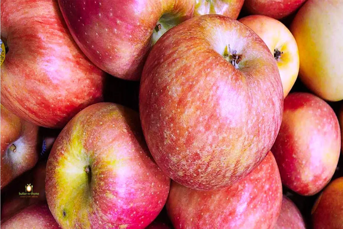 80 Types of Apples AtoZ Photos Butter N Thyme