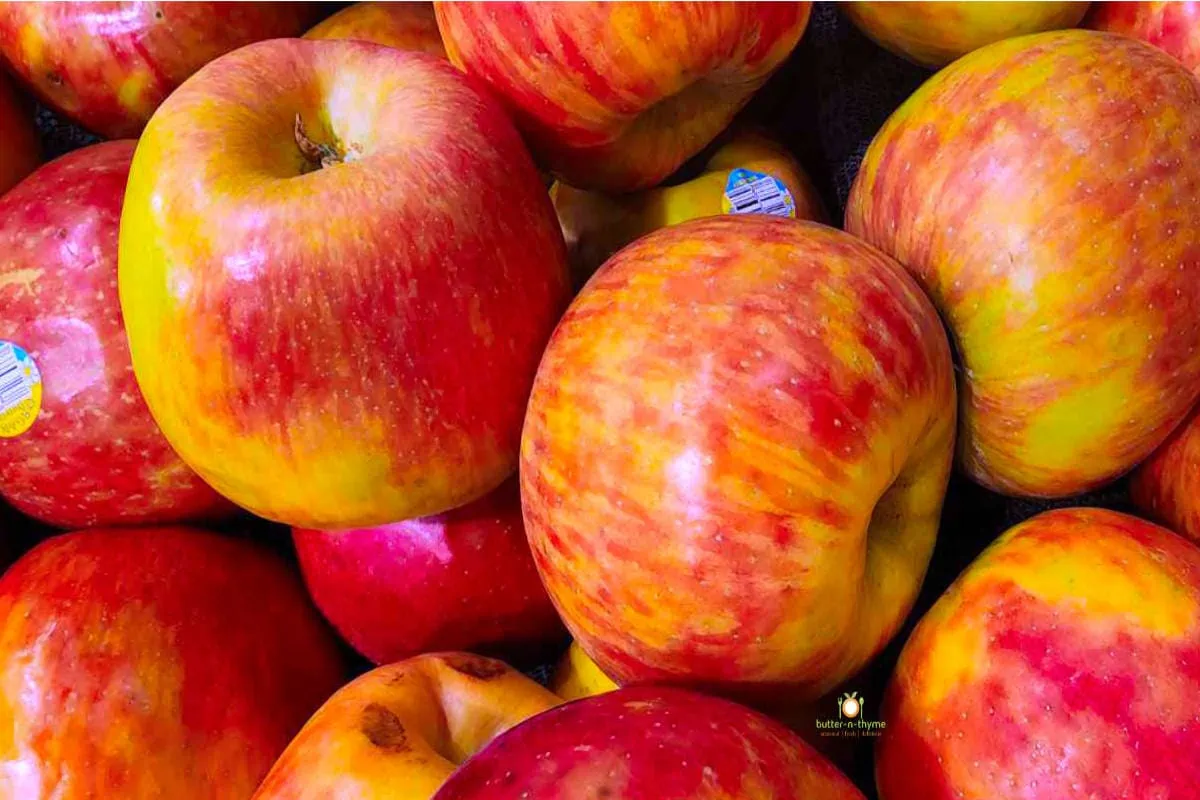 80 Types of Apples AtoZ Photos Butter N Thyme