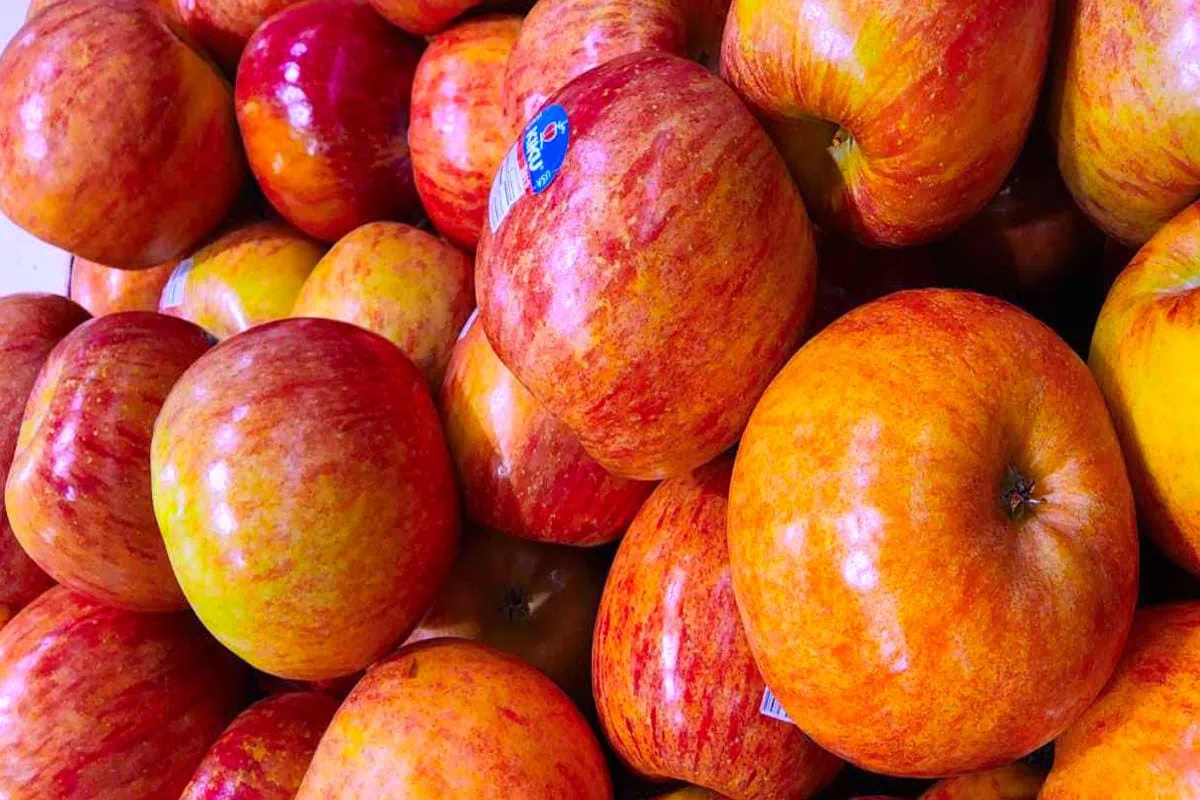 80 Types of Apples AtoZ Photos Butter N Thyme