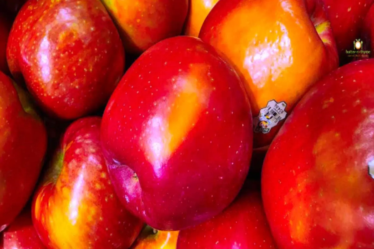 80 Types of Apples AtoZ Photos Butter N Thyme