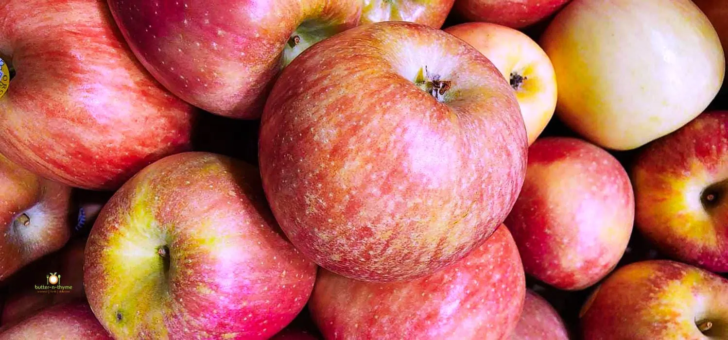 27 Types of Sweetest Apples 🍎 AtoZ Photos Butter N Thyme